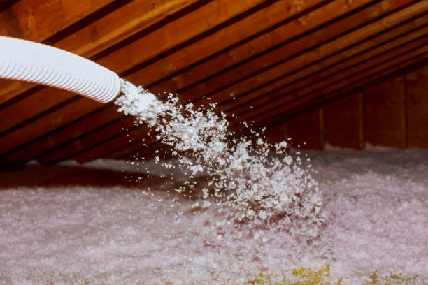 Best Energy Efficiency Solutions in Lake Fenton, MI
