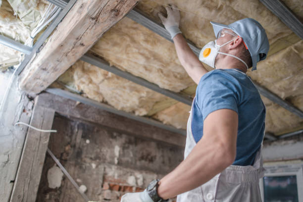 Best Insulation Installation Services in Lake Fenton, MI